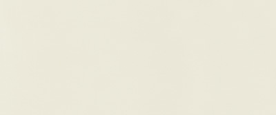 Bianco Grigiastro RAL 9002