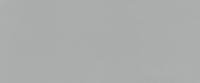 RAL 9006