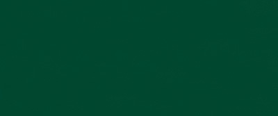 Verde Muschio RAL 6005