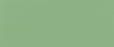 Verde Pallido RAL 6021