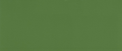 Verde Reseda RAL 6011